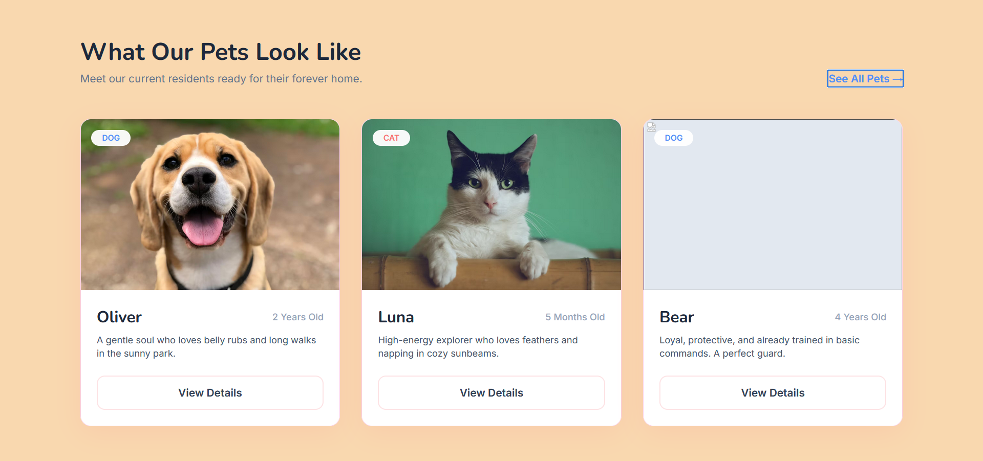 Petcare Sample Website